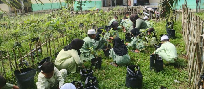 Min 1 Muaro Jambi Kegiatan P5 Siswa Siswi Kelas 6 Tanaman Cabai Hijau